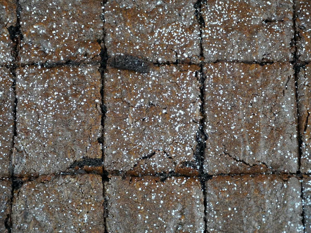 Sourdough Discard Brownies