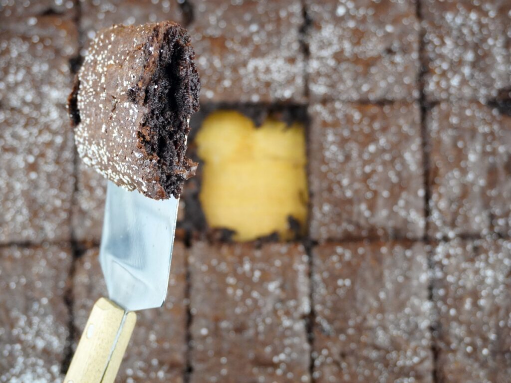 Sourdough Discard Brownies